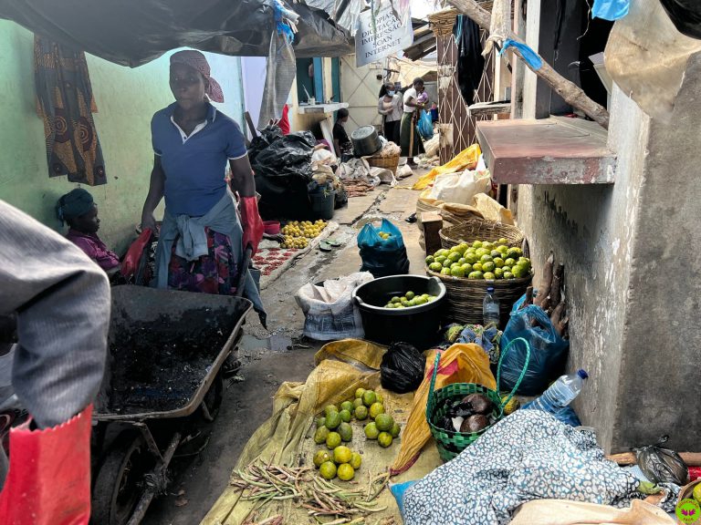 279848565_517126353299480_3940955869706594697_n