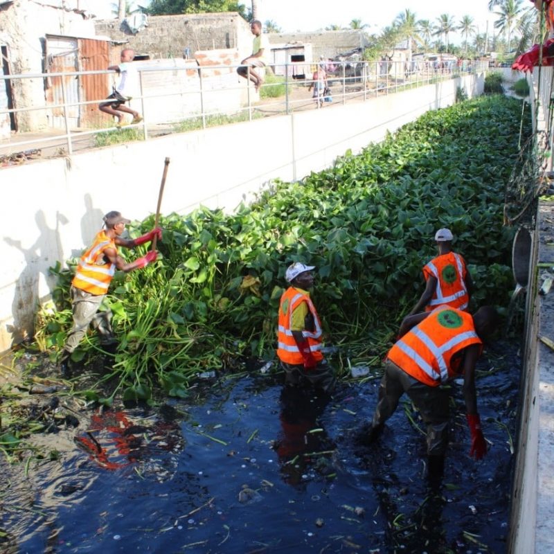 279122591_510567670622015_7273318354791432830_n (1)