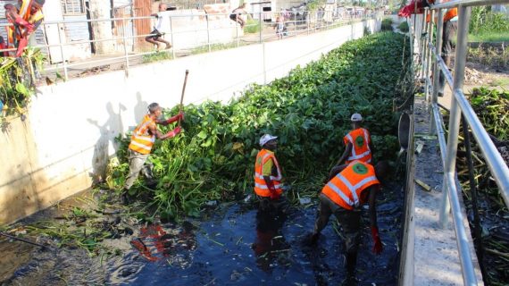 279122591_510567670622015_7273318354791432830_n